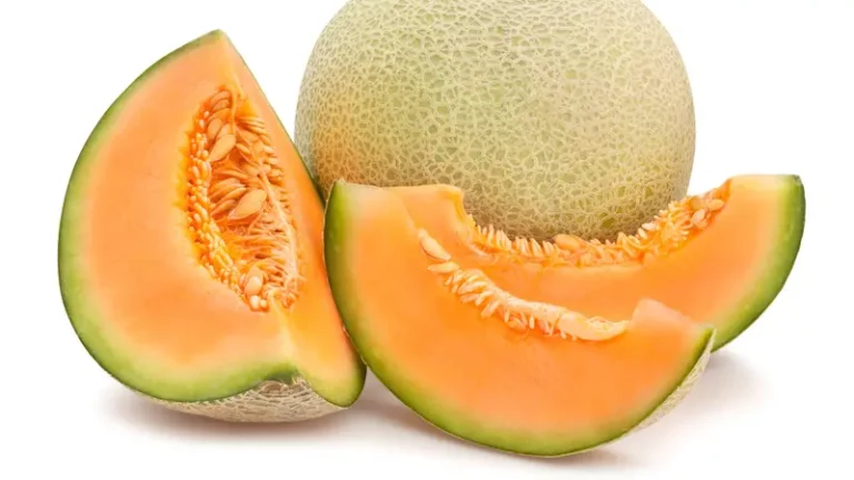 Manfaat Buah Melon Untuk Kesehatan