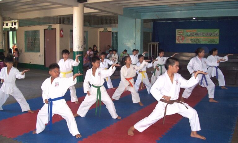 Perkembangan karate di Indonesia