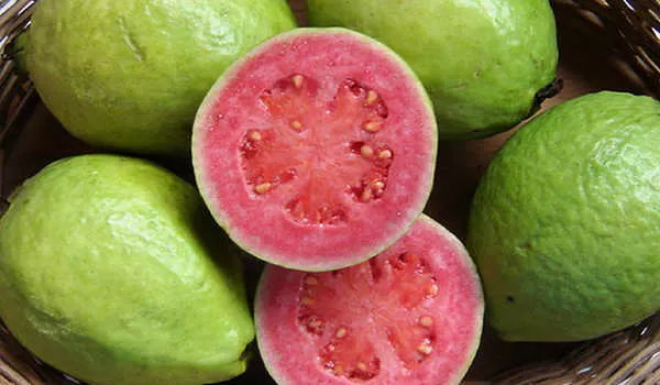 Manfaat Jambu Biji Merah