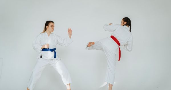 Perbedaan Antara Karate Dan Taekwondo